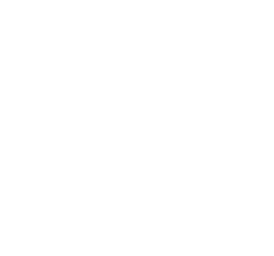 善宗寺
